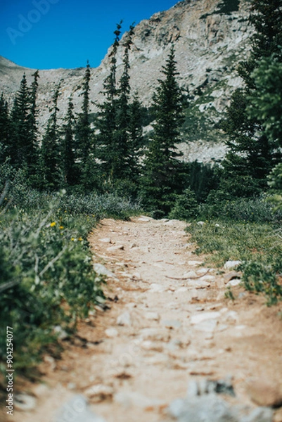 Obraz path in the mountains
