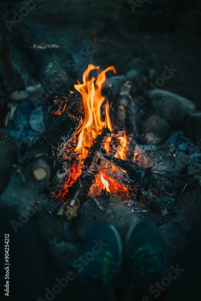 Obraz fire in the forest