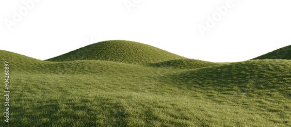 Fototapeta Hills with grass on a transparent background. 3D rendering.	
