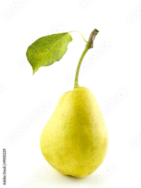 Fototapeta Yellow pear