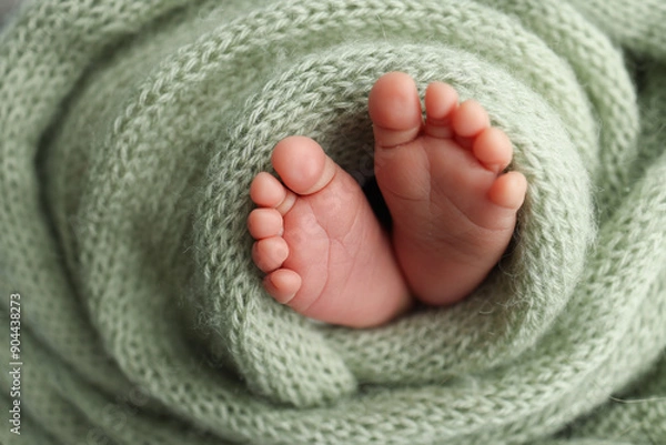 Fototapeta The tiny foot of a newborn. Soft feet of a newborn in a olive green woolen blanket. Close up of toes, heels and feet of a newborn baby. Studio Macro photography. Woman's happiness.