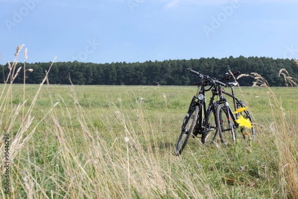Obraz Radfahren an der Müritz
