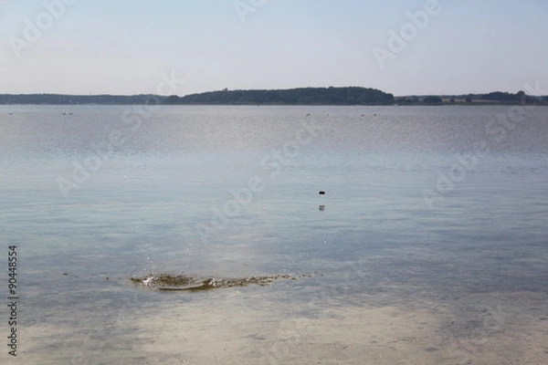 Fototapeta Fleesensee, hüpfende Steine