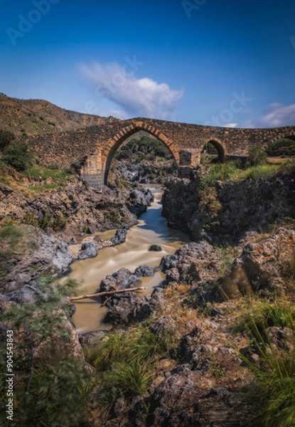 Fototapeta Ponte dei Saraceni. An ancient medieval bridge of Norman age located on the Simeto river. Adrano - Catania, in Sicily. Long exposure picture. June 2023