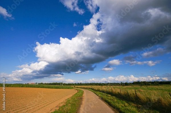 Fototapeta dramatic thunder clouds above a rural scene