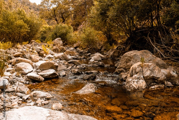 Fototapeta Pequeño río de montaña entre arboles y rocas.