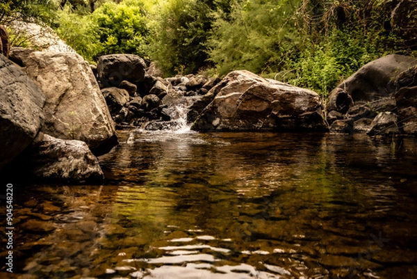 Obraz Pequeño río de montaña entre arboles y rocas.