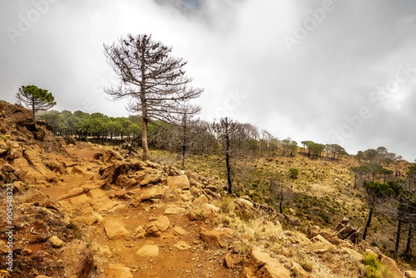 Fototapeta Cima de la montañas con nubes y niebla