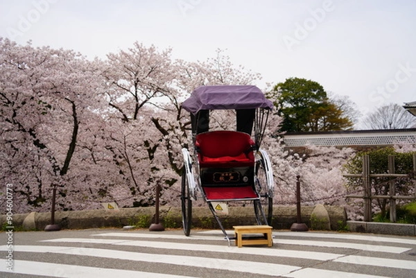 Obraz 日本の桜