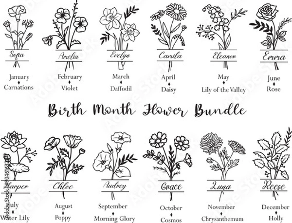 Obraz Vector Birth Flower