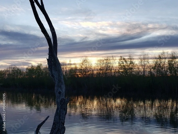Obraz Water reflections and landscape