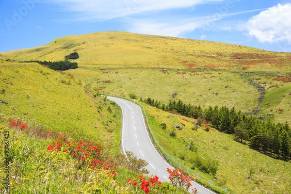 Obraz 霧ヶ峰高原のレンゲツツジ咲くビーナスラインと車山　長野県諏訪市 