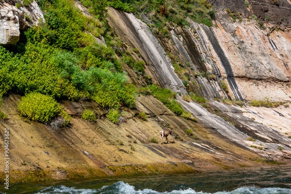 Obraz moss covered rocks