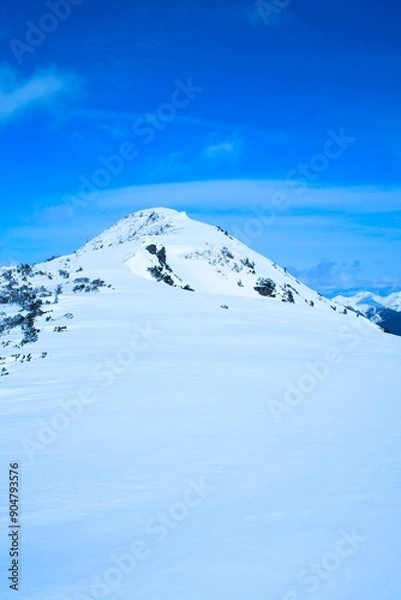 Obraz Winter Landscape with Snow-Covered Mountains