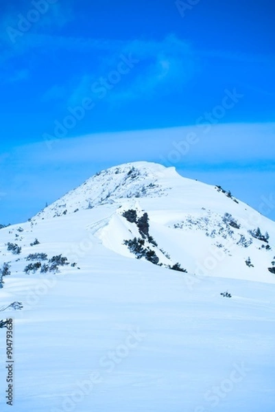 Obraz Snow-Covered Mountain Peak in Winter