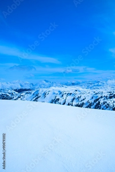 Obraz Winter Landscape with Snow-Covered Mountains