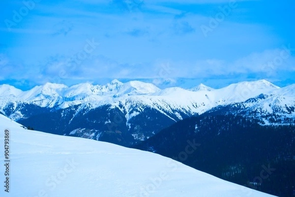 Obraz Winter Landscape with Snow-Covered Mountains