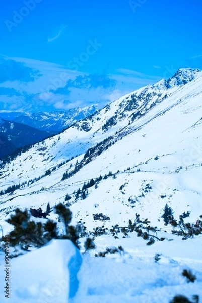 Obraz Winter Landscape with Snow-Covered Mountains