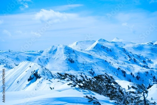 Obraz Winter Landscape with Snow-Covered Mountains