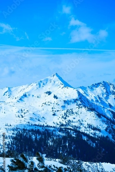 Obraz Winter Landscape with Snow-Covered Mountains