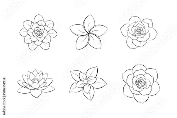 Fototapeta Line art of Six Flowers set illustration Vector