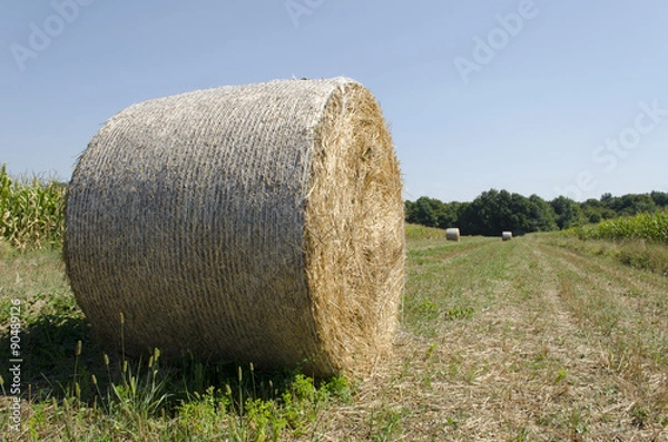 Obraz Hay stack on a field.