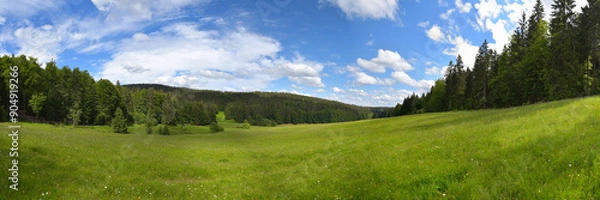 Obraz Landschaft im Vessertal / Thüringer Wald