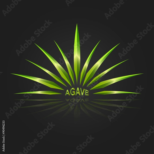 Fototapeta Agave vector design template