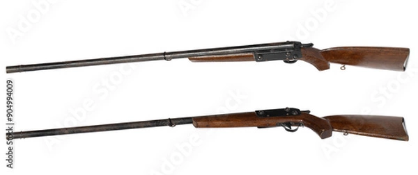 Obraz classic shotgun