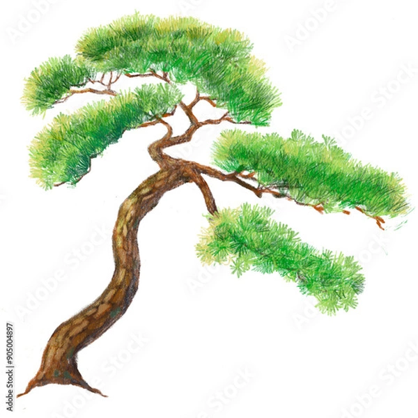 Obraz 1월19일탄생화  소나무