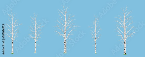 Fototapeta Set of bare birch trees in the early spring  season without leaves against blue sky background. Isolated vector illustration for design elements.