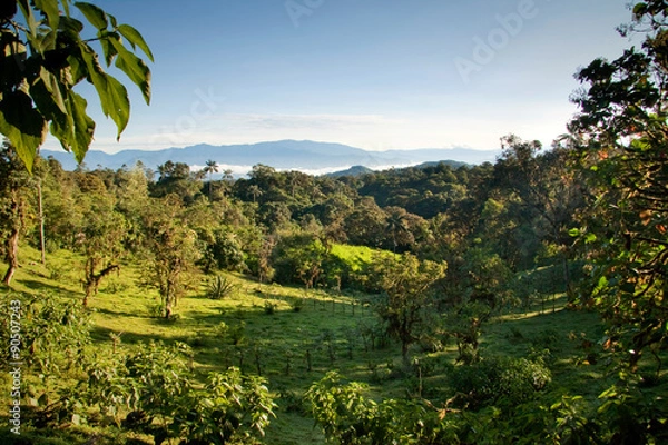 Obraz Mindo, Ecuador cloud forest