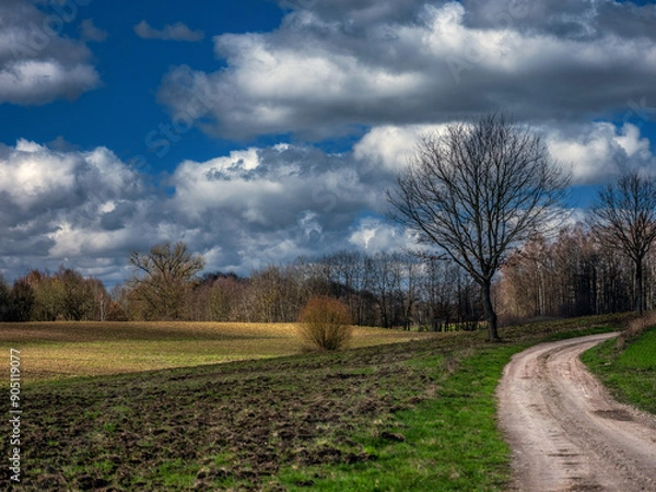 Fototapeta Polna droga donikąd