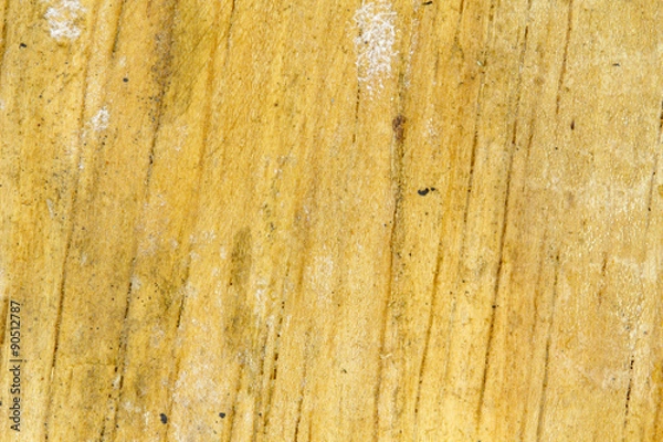 Obraz Wood texture