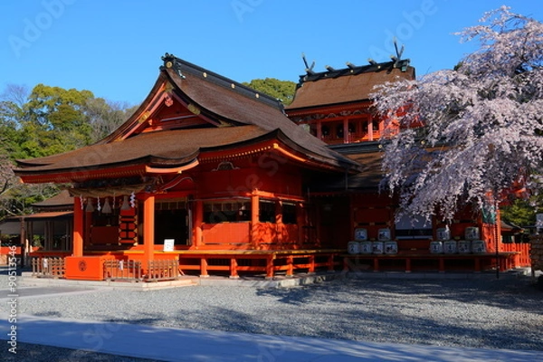 Fototapeta 静岡　春の富士山本宮浅間大社