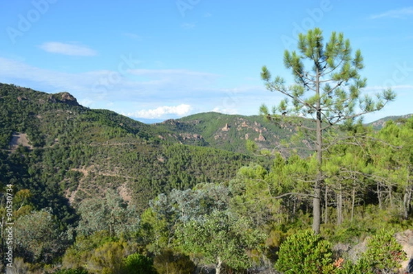 Obraz Esterel & Méditerranée 