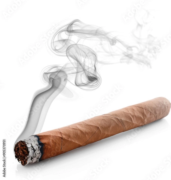 Obraz A lit cigar