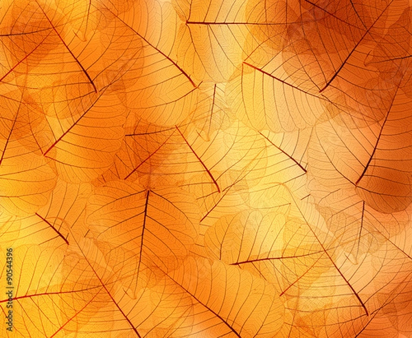 Obraz leaves texture background