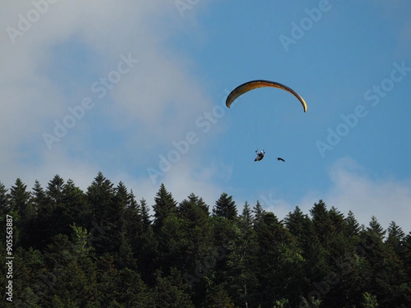 Obraz Parapente Oiseau Ciel