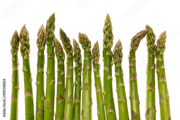 Obraz green asparagus art