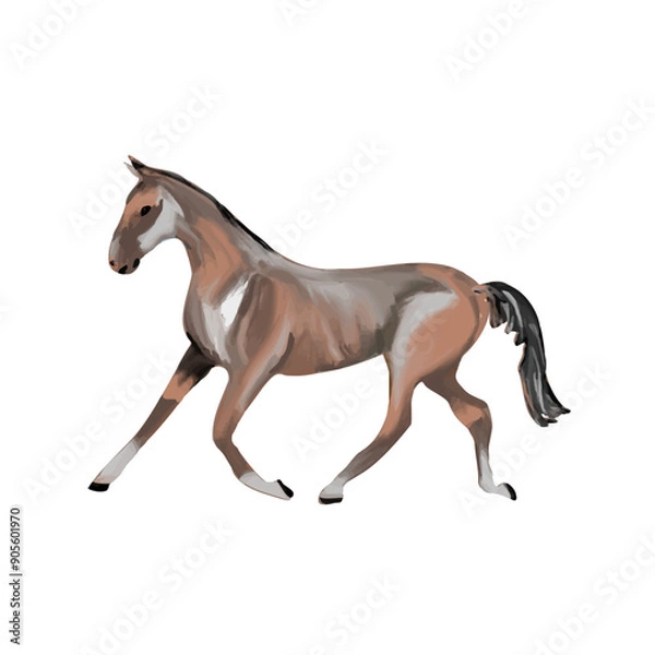 Obraz Brown horse on a  an isolated background