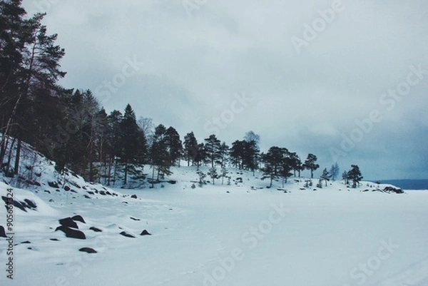 Obraz skiing in the mountains