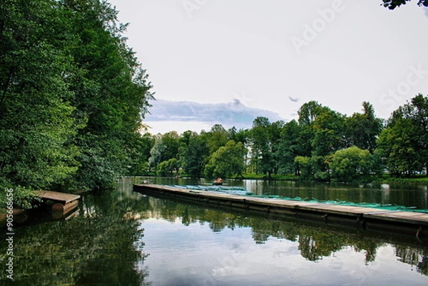 Obraz lake in the park