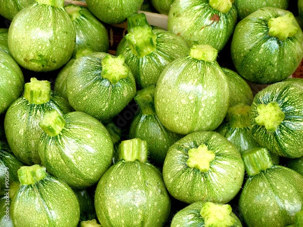 Obraz zucchini