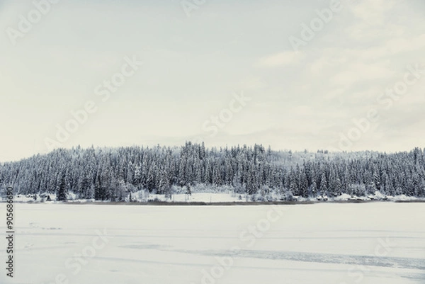Obraz winter landscape with snow covered trees
