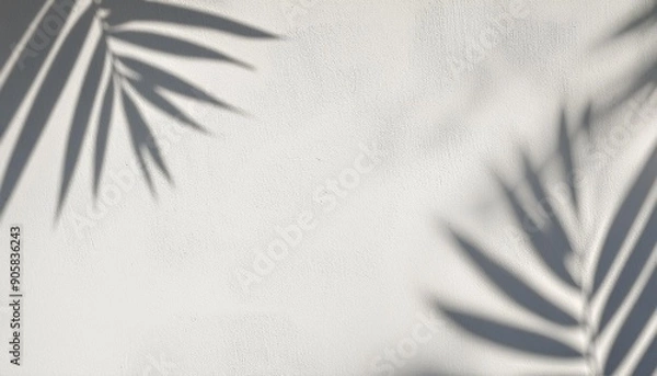 Obraz shadow of plam leave on white cement wall background with copy space