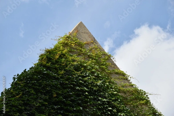 Obraz pyramid covered by green foliage 