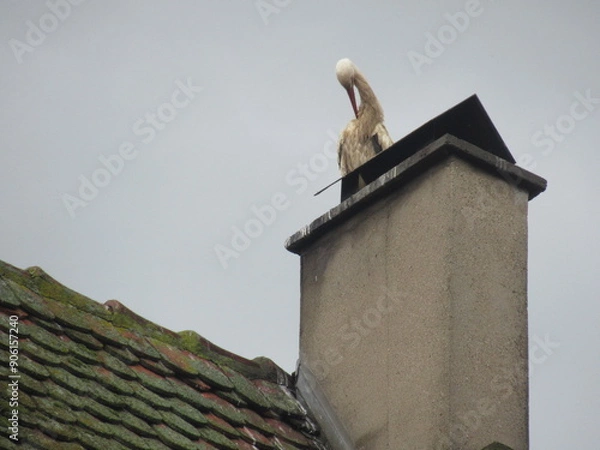 Obraz Eguisheim im Elsass