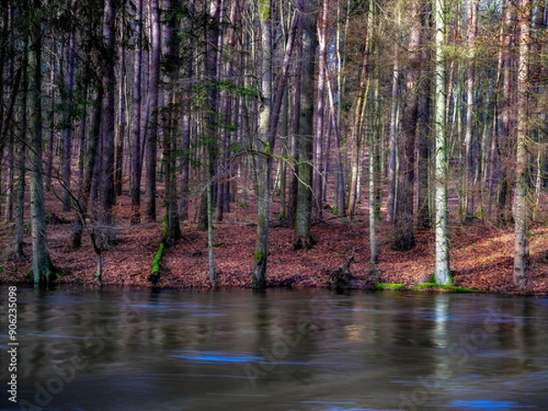 Obraz Rzeka Parsęta