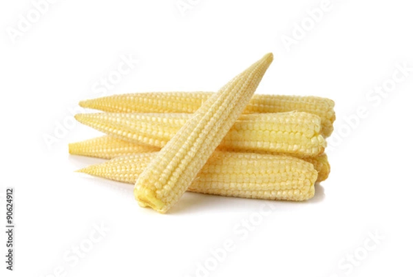 Obraz baby corn isolated on white background